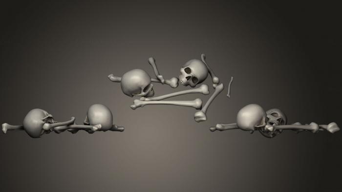 Anatomy of skeletons and skulls (ANTM_0684) 3D model for CNC machine